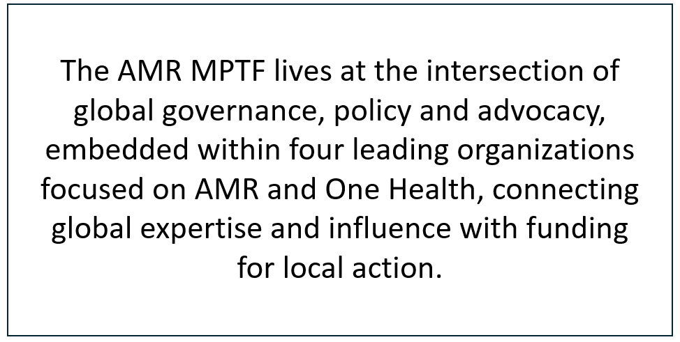 text box mptf about page