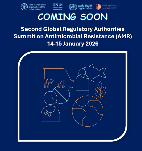 RAGNA flyer RAGNA flyer