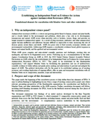 Thumbnail for Summary document on the IPEA