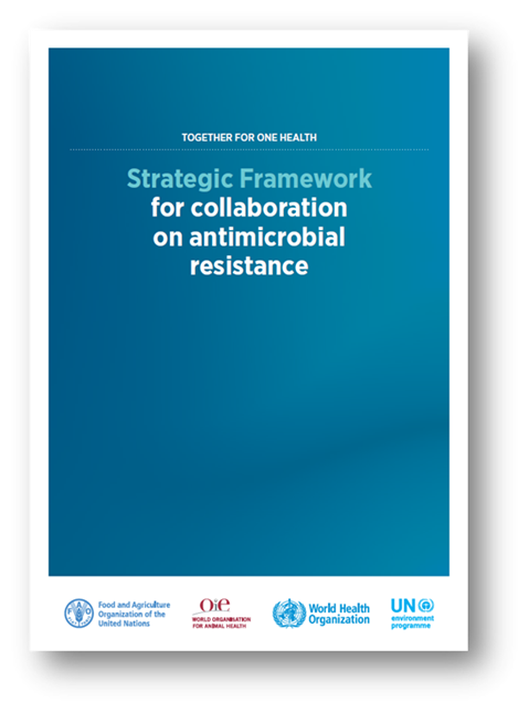 Strategic Framework for Collaboration on AMR