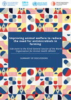 Thumbnail for Improving animal welfare to reduce the need for antimicrobials in farming