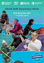 Thumbnail WAAW 2024 campaign guide